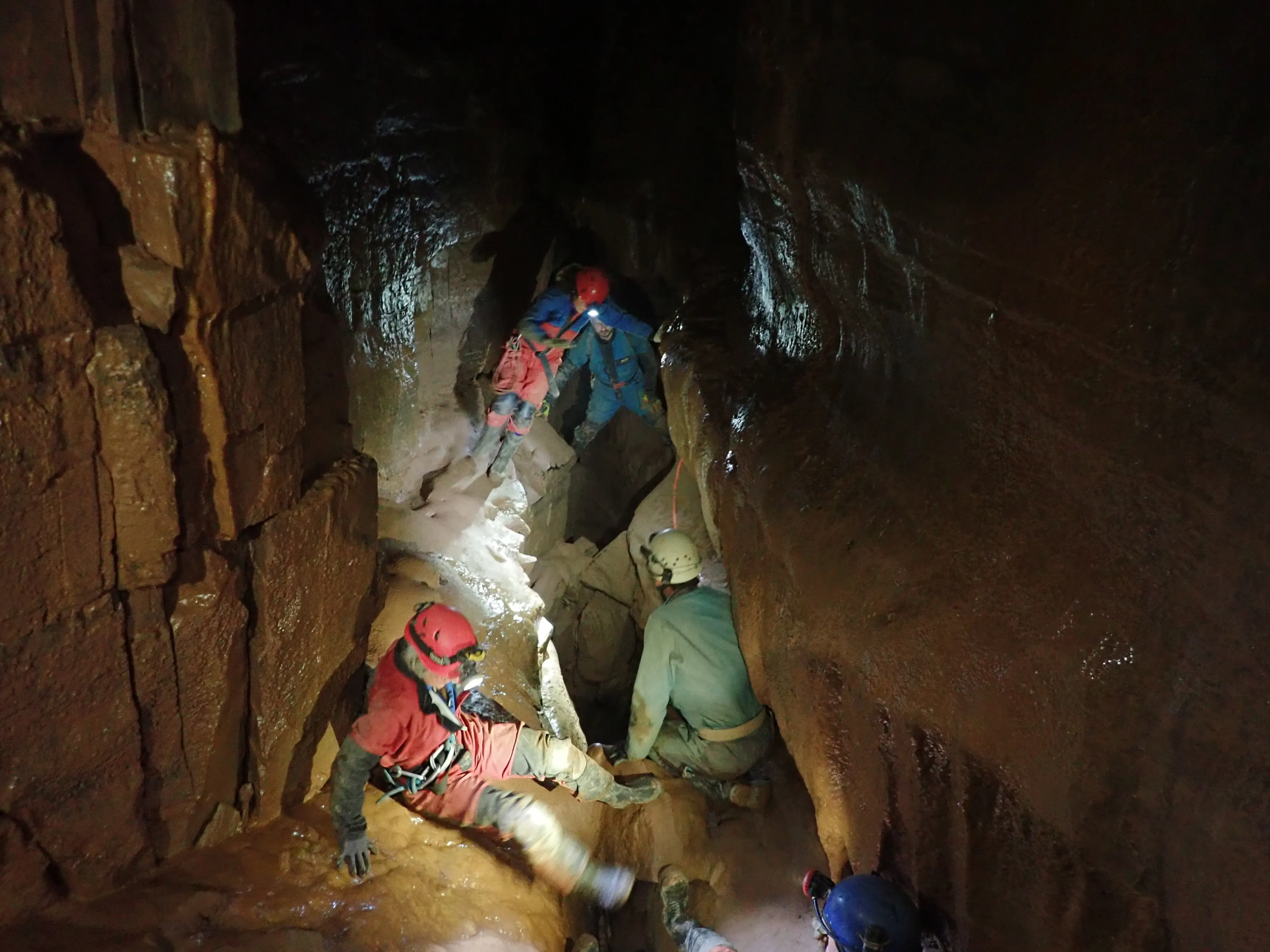 WSG members caving